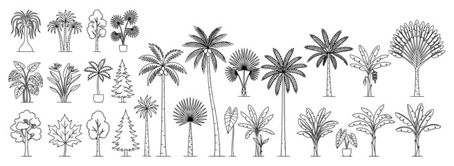 CAD tree elevation symbols in minimal outline style, side view tropical vegetation and architectural landscape elements for garden plans, site drawings and exterior design © JIm Studio