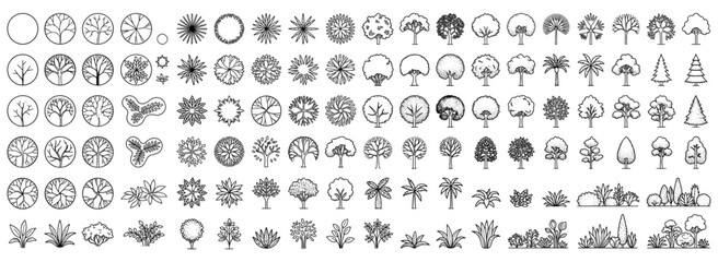 CAD tree symbols for architectural landscape plans, minimal top view vegetation outlines, overhead botanical elements for site planning, garden layouts and urban design © JIm Studio