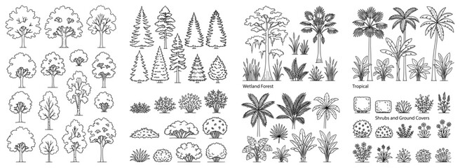 Architectural CAD tree drawing set featuring minimal side view wetland forest sections, vegetation outlines and landscape elements for elevations, site plans and garden layouts. Vector illustration © JIm Studio