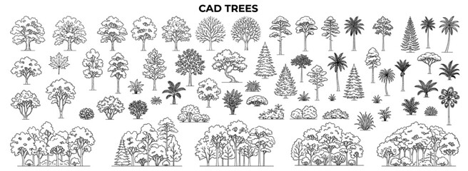 Minimal CAD tree elevation set with side view forest outlines for architectural landscape plans, garden sections, vegetation studies and clean vector illustration © JIm Studio
