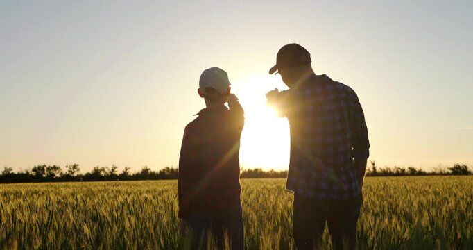 Father and son silhouettes stand together in wheat field at sunset, sharing conversation and quiet moment. Countryside scene represents family values guidance and lasting connection across generations