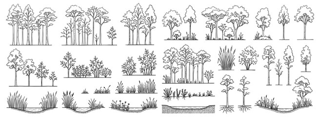 Minimal CAD tree and wetland forest outline set with side view bushes, palms and woodland plants for architectural sections, landscape plans and environmental design © JIm Studio