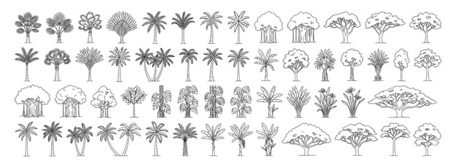 Landscape architecture tree section set featuring minimal line drawings of wetland plants, forest vegetation and side view elevations. Vector illustration. © JIm Studio
