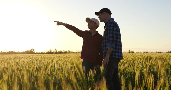 Father and son stand in wheat field at sunset, pointing toward horizon and discussing future together. Rural scene represents guidance, agricultural heritage and next generation of family farming.