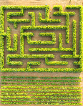 Aerial view of a large green corn maze with intricate paths set within agricultural fields, Hod Hasharon, Center District, Israel.