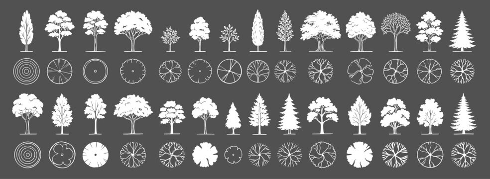 Architectural trees in elevation and plan view vector set with shrubs, bushes, landscape plants and CAD drawing blocks on transparent background