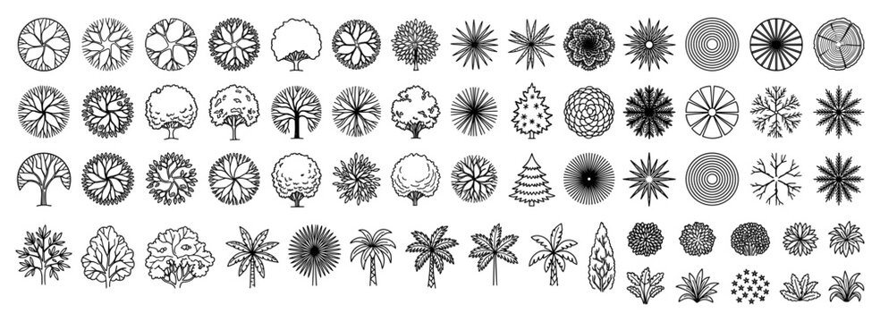 Top view tree collection for architectural plans with landscape design symbols, circular canopies, pine plants and garden elements isolated on transparent background