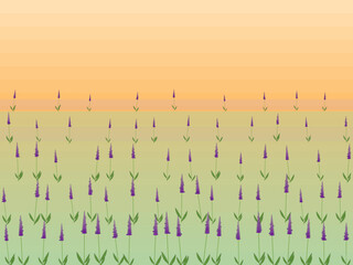 Obraz premium French Lavender Field Purple Floral Background