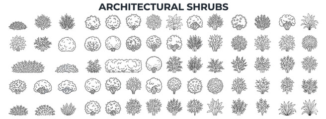 Architectural shrub and bush collection in elevation view, isolated landscape vegetation elements for garden plans and exterior design vector illustration © JIm Studio