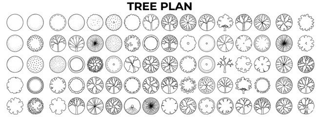 Fototapeta premium Architectural tree plan view vector set with landscape symbols, top view plants, garden foliage and isolated botanical elements for site plans and CAD drawings