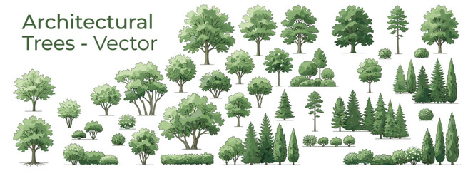 Fototapeta premium Watercolor green tree and forest side view isolated on white background for landscape architecture, garden planning, environmental design and botanical vector illustration