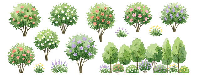 Blooming watercolor tree and flowering forest side view isolated on white, colorful spring garden vegetation for architectural landscape plans and environmental design vector © JIm Studio
