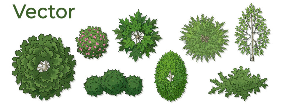 overhead green trees and shrubs collection for landscape architecture, urban planning, garden layouts, architectural maps and floor plan presentations