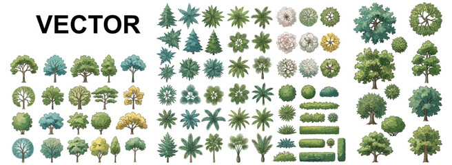 Landscape architecture tree symbols in top view for site plan rendering, garden layout, park design, vegetation, foliage, greenery and botanical planning vector illustration © JIm Studio