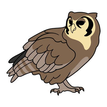 Milky Eagle Owl