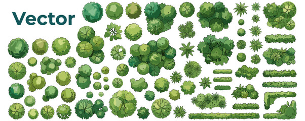 Watercolor green trees and forest plants in top view for landscape plans, architecture drawings, garden layouts and botanical outdoor design isolated on white © JIm Studio