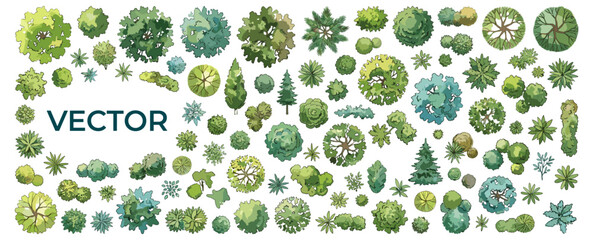Hand drawn watercolor tree canopy top views isolated on white for landscape architecture plans, garden maps, park layouts and environmental design presentations © JIm Studio