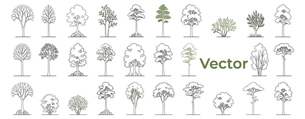 Fototapeta premium Minimal CAD tree and wetland forest drawing set with side view plants, bushes and tropical vegetation for architectural sections and landscape design vector illustration
