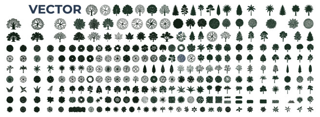 Top View Tree Outline Collection with Botanical Silhouettes for Landscape Architecture Plans, Garden Layouts, Site Mapping and Urban Design Vector Illustration © JIm Studio
