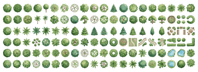 Hand drawn watercolor trees in top view for landscape architecture, garden planning, site maps, park layouts, green spaces and natural vegetation vector illustration © JIm Studio