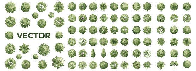 Top view watercolor tree set isolated on white for landscape architecture, garden layouts, site planning, park maps, vegetation symbols and natural canopy vector illustration © JIm Studio
