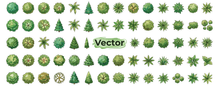 Aerial tree canopy symbols in watercolor style for landscape plans, architectural site layouts, garden mapping, urban parks and natural planting design vector illustration