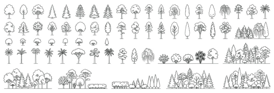 Architectural CAD tree outline collection featuring mixed broadleaf, conifer and evergreen silhouettes in side view for landscape drawing, garden planning and forest section vector illustration