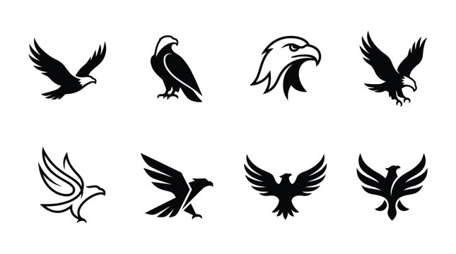 Black eagle bird silhouettes flying and standing Vector