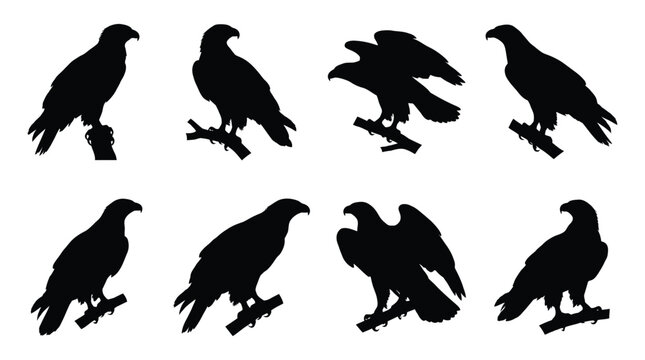 Black silhouettes of eagles on branches Vector