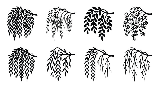 Black and white willow tree branches with leaves Vector