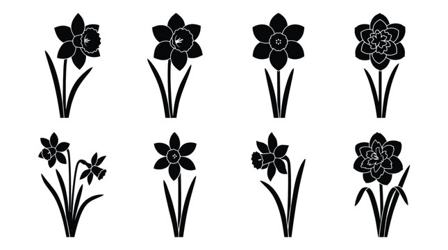 Black daffodil flower silhouettes set Vector