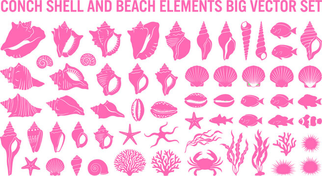 Pink Conch Shell and Beach Elements Big Vector Set for Summer Branding, Marine Illustration & Coastal Graphic Design (EPS)