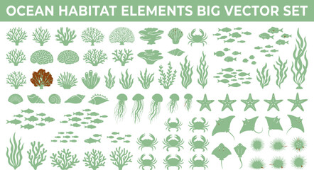 Ocean Habitat Elements Big Vector Set with Coral, Fish, Seaweed and Marine Life for Educational Posters, Infographics & Web Design (EPS) © Muhammad