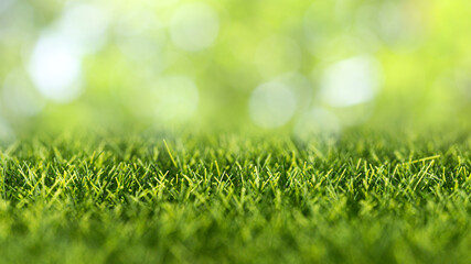 Obraz premium Close up green grass with soft bokeh lights and blurred natural background
