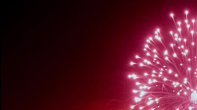 On a dark summer night, rosy pink fireworks explode into gorgeous, bright bursts. The sky becomes a canvas of light, casting a warm glow on the celebratory display.