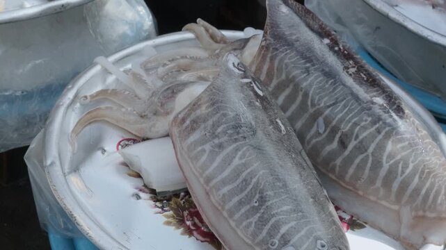 Fresh cuttlefish displayed on seafood market stall in Busan, South Korea. Popular marine ingredient in Asian cuisine and traditional coastal seafood trade in Asia