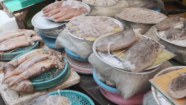 Fresh cuttlefish displayed on seafood market stall in Busan, South Korea. Popular marine ingredient in Asian cuisine and traditional coastal seafood trade in Asia