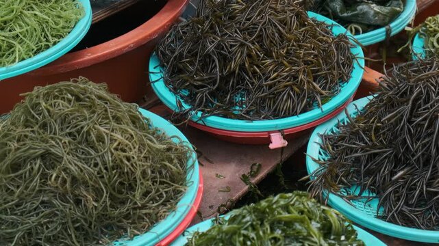 Fresh edible seaweed varieties displayed at traditional seafood market in Busan, South Korea. Marine vegetables widely used in Korean cuisine, healthy diets and Asian food culture