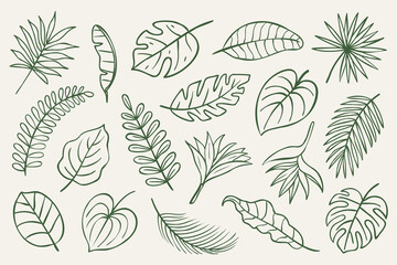 Hand drawn tropical leaves vector set in minimal line art style. Monstera, palm, banana, fern, philodendron and other botanical elements. Perfect for boho design, posters, branding and patterns. © Colomba Rossa
