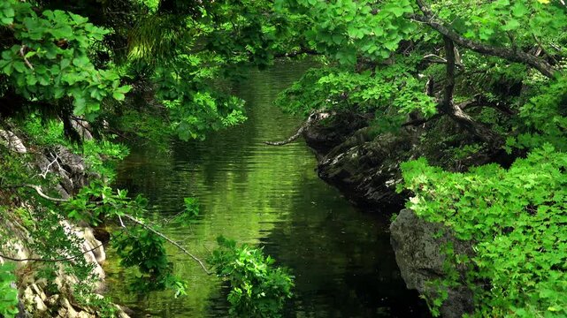 川内川渓谷