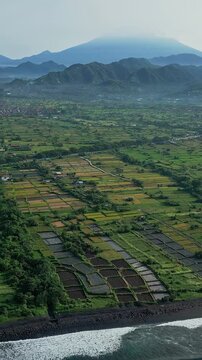 Aerial coastline volcano Agung lush rice terraces, black pebble beach and rolling surf, misty mountain layers, reflective irrigation ponds and verdant farmland in soft morning,Bali,vertical video