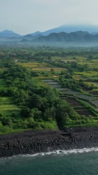 Aerial panoramic farmland volcano agung expansive rice plots and coastal rim, distant misty peaks and calm ocean, rural mosaic of ponds and cultivation under soft light,Bali,Indonesia