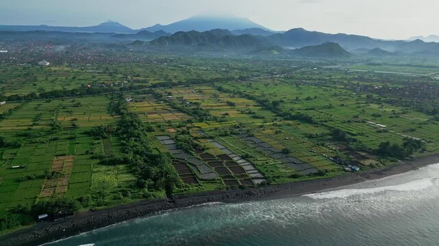 Aerial patchwork rice fields and coastal ponds meeting rocky shore drone mapping shot highlighting irrigation grids, wet paddies, farm tracks and distant volcanic ridge,Bali island