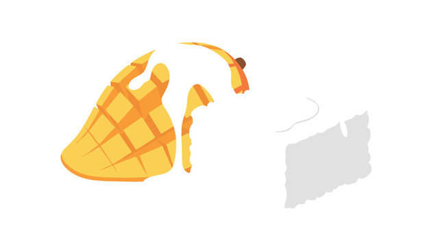 Mango slice with cream and abstract shape