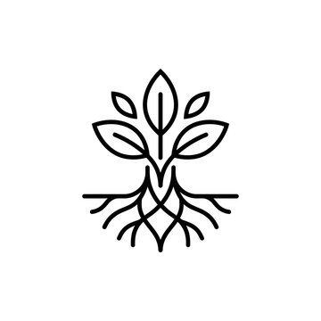 Minimalist Line Art Drawing of a Plant with Visible Roots and Leaves