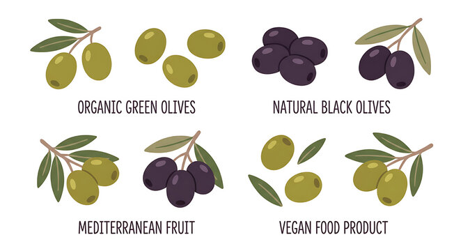 Hand drawn set of green and black olives with branches and leaves, flat vector illustration