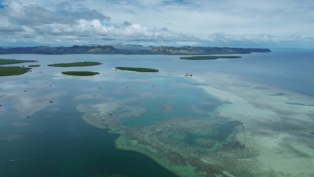 Fish farm with cages for fish and shrimp