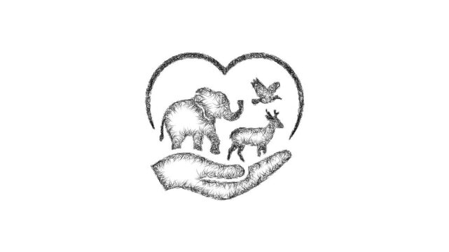Sketch save the animals icon animation - smooth progressive reveal