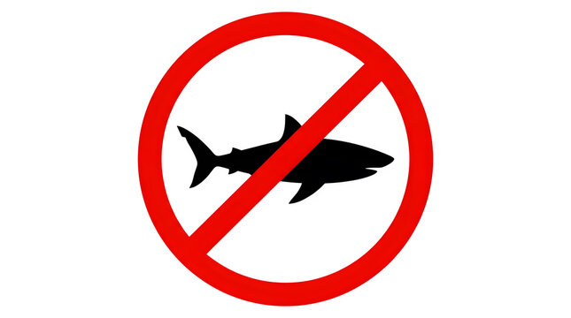 No swimming with shark warning sign