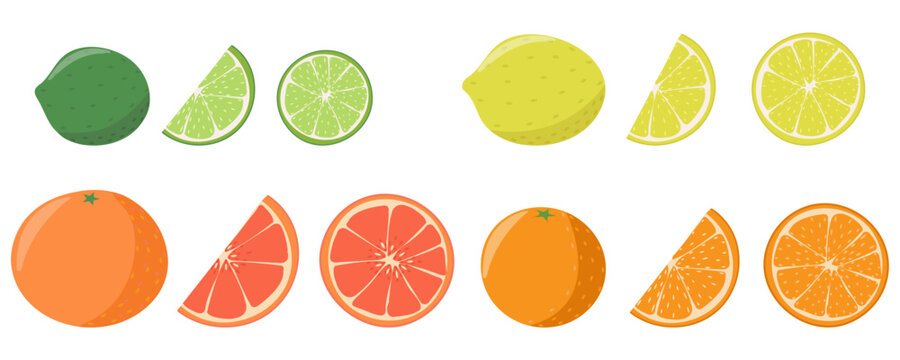 Citrus Fruits Collection with Orange, Lemon, Lime and Grapefruit Slices Vector Set